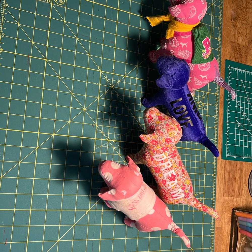 My 4 Victoria Secret dogs.